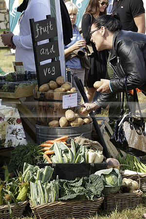 The Alresford Agricultural Show Tichbourne on Saturday 2013.09.07 www.polopictures.co.uk