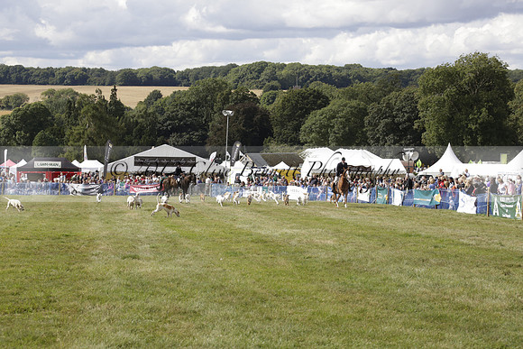 The Alresford Agricultural Show Tichbourne on Saturday 2013.09.07 www.polopictures.co.uk