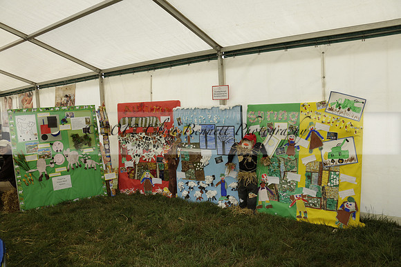The Alresford Agricultural Show Tichbourne on Saturday 2013.09.07 www.polopictures.co.uk