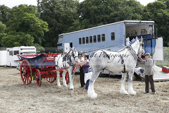 The Alresford Agricultural Show Tichbourne on Saturday 2013.09.07 www.polopictures.co.uk