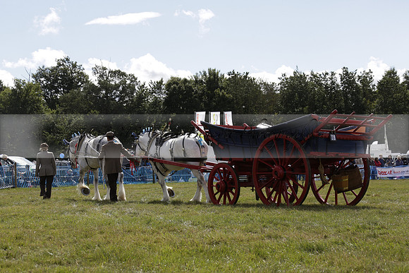 The Alresford Agricultural Show Tichbourne on Saturday 2013.09.07 www.polopictures.co.uk