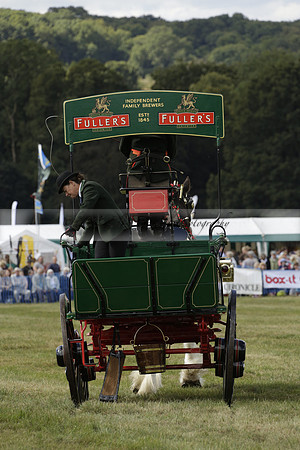 The Alresford Agricultural Show Tichbourne on Saturday 2013.09.07 www.polopictures.co.uk