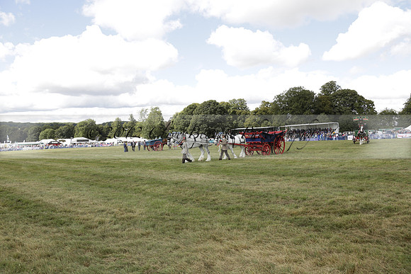 The Alresford Agricultural Show Tichbourne on Saturday 2013.09.07 www.polopictures.co.uk