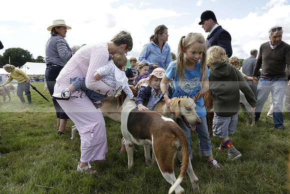 The Alresford Agricultural Show Tichbourne on Saturday 2013.09.07 www.polopictures.co.uk