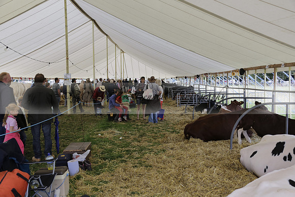 The Alresford Agricultural Show Tichbourne on Saturday 2013.09.07 www.polopictures.co.uk