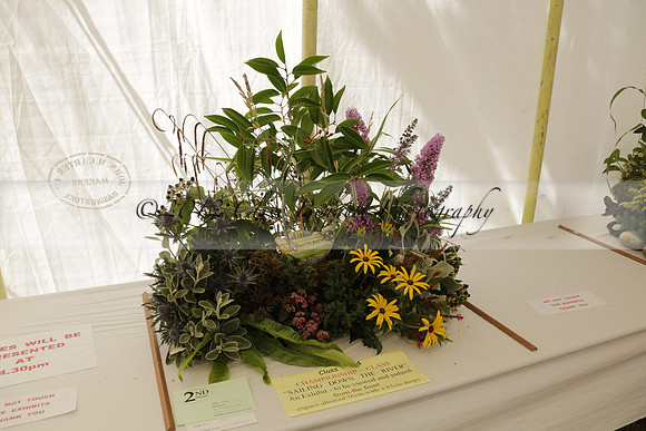 The Alresford Agricultural Show Tichbourne on Saturday 2013.09.07 www.polopictures.co.uk