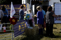 The Alresford Agricultural Show Tichbourne on Saturday 2013.09.07 www.polopictures.co.uk