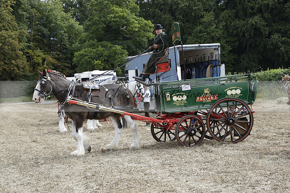 The Alresford Agricultural Show Tichbourne on Saturday 2013.09.07 www.polopictures.co.uk