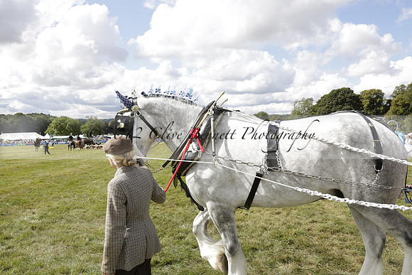 The Alresford Agricultural Show Tichbourne on Saturday 2013.09.07 www.polopictures.co.uk