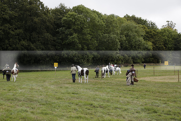 The Alresford Agricultural Show Tichbourne on Saturday 2013.09.07 www.polopictures.co.uk
