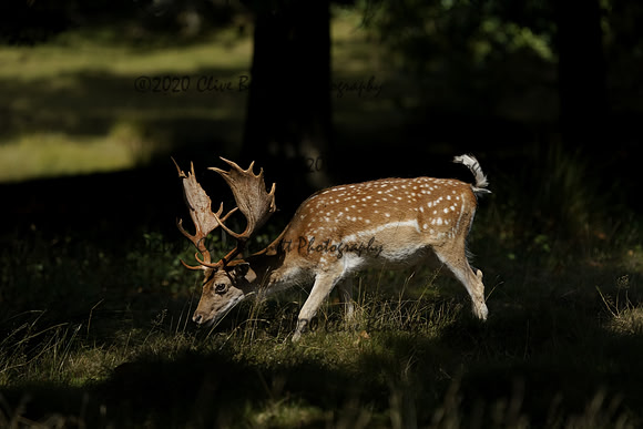 _CAB5570