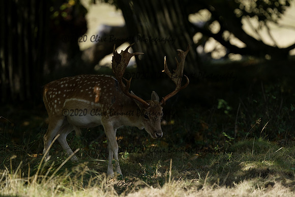 _CAB5581