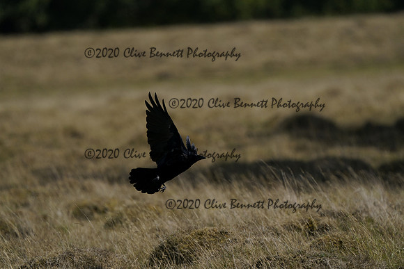 _CAB5708