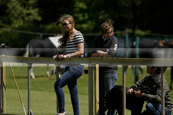 Maiz Dulce v Pluma Negra in a Jubilee 6 Goal Polo match 2013.05.27