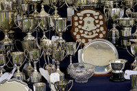 Alresford Show 2025