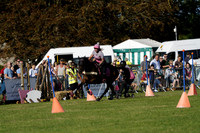_CAB0377