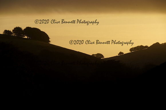 _CAB2978