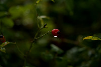 _CAB3924