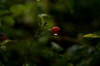 _CAB3927