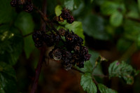 _CAB3928