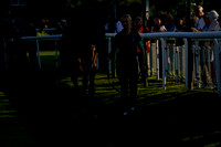 Race 3 The Weatherbys Epassport Handicap Hurdle Race 2025.06.10