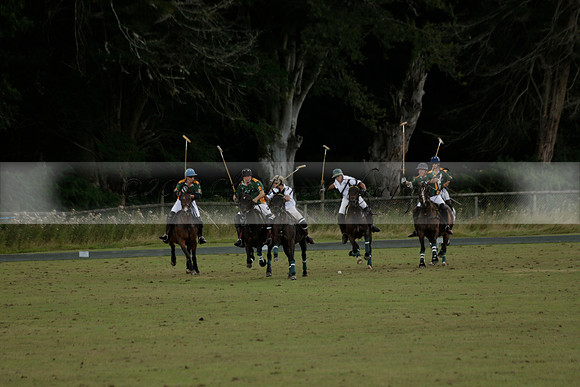The Blue Jackets Cup polo match played between Maize Dulce (green) vs Home Farm (white) At the New Forest Polo Club on Sunday 18 August 2013