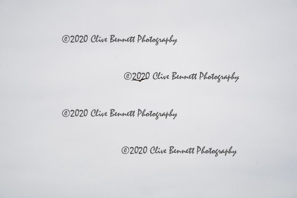 _CAB7046