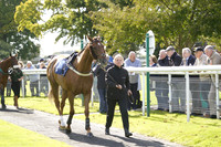 Race 1 The Bet Clever Betgoodwin Conditional Jockeys Novices Limited Handicap Hurdle Race 22.09.2025