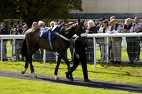 Race 2 The Betgoodwin Lightning Withdrawals Handicap Steeple Chase 22.09.2025
