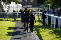 Race 4 The Betgoodwin ACCA Insurance Handicap Hurdle Race 222.09.2025