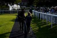 Race 5 The Betgoodwin Super Tommy Cannon Handicap Steeple Chase 22.09.2025