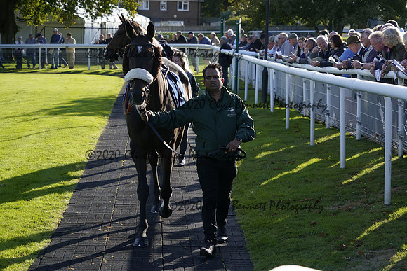 _CAB6295