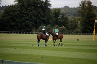 Broadoak Farm v Salkeld in an Autumn Cup polo match played on Lawns 2 at Cowdray Park Polo Club on Sunday 16 September 2012