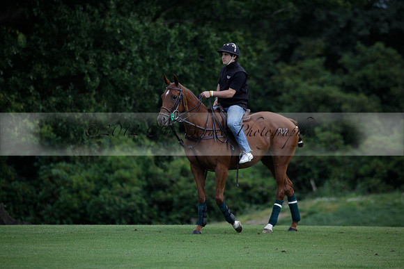 Broadoak Farm v Salkeld in an Autumn Cup polo match played on Lawns 2 at Cowdray Park Polo Club on Sunday 16 September 2012
