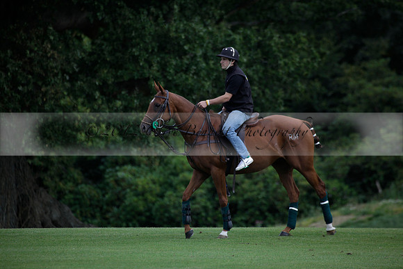 Broadoak Farm v Salkeld in an Autumn Cup polo match played on Lawns 2 at Cowdray Park Polo Club on Sunday 16 September 2012