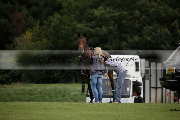 Broadoak Farm v Salkeld in an Autumn Cup polo match played on Lawns 2 at Cowdray Park Polo Club on Sunday 16 September 2012