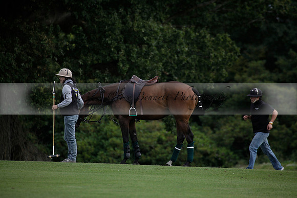 Broadoak Farm v Salkeld in an Autumn Cup polo match played on Lawns 2 at Cowdray Park Polo Club on Sunday 16 September 2012