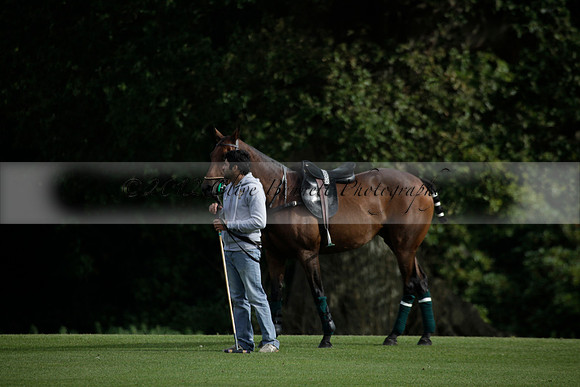 Broadoak Farm v Salkeld in an Autumn Cup polo match played on Lawns 2 at Cowdray Park Polo Club on Sunday 16 September 2012