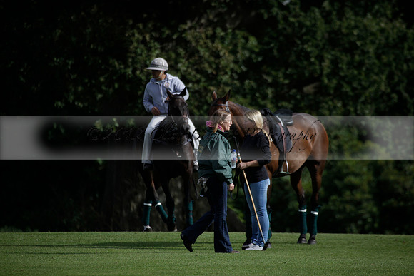 Broadoak Farm v Salkeld in an Autumn Cup polo match played on Lawns 2 at Cowdray Park Polo Club on Sunday 16 September 2012