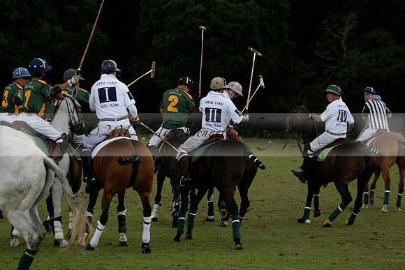 The Blue Jackets Cup polo match played between Maize Dulce (green) vs Home Farm (white) At the New Forest Polo Club on Sunday 18 August 2013
