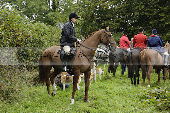 Devon & Somerset Stag Hounds meet at Liscombe on Saturday 12 October 2013 2013.10.12 www.polopictures.co.uk