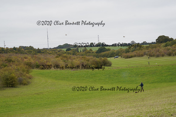 _CAB0946