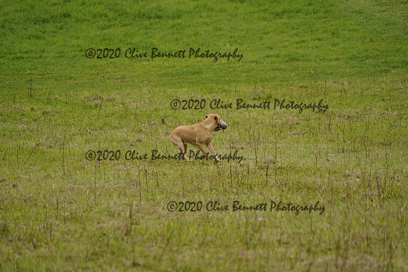 _CAB0961