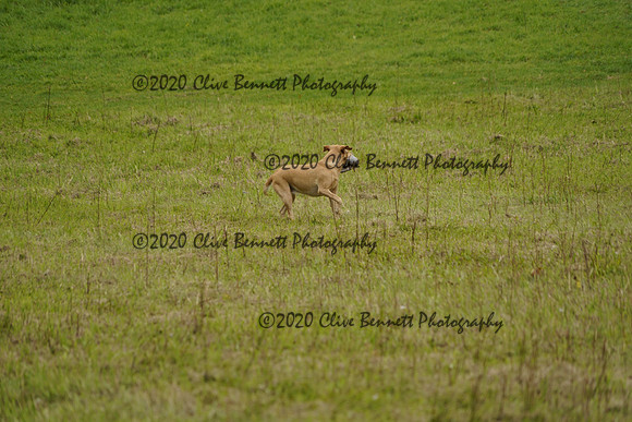 _CAB0962