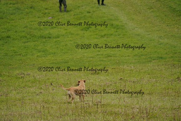 _CAB0965