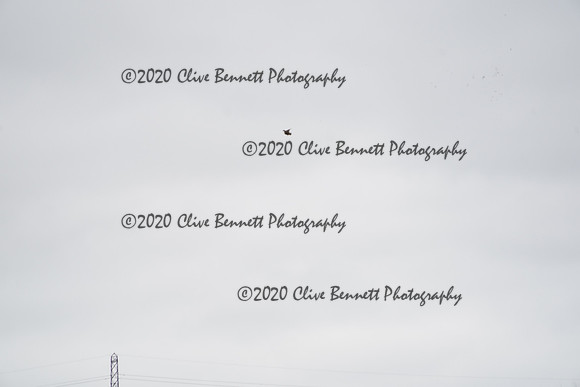 _CAB0971