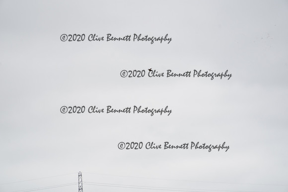 _CAB0972