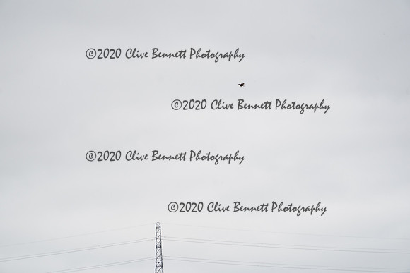 _CAB0973