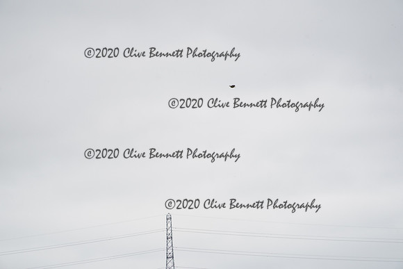 _CAB0974