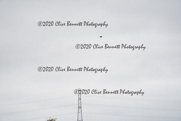 _CAB0975